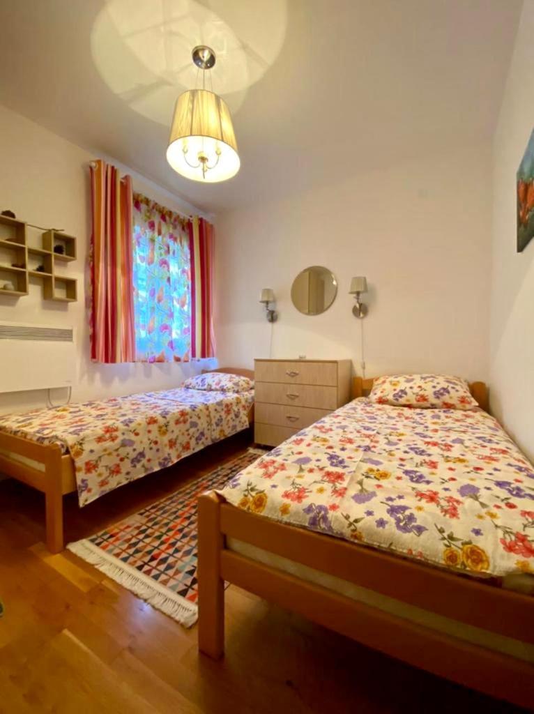 Apartment Liza Petrovac Eksteriør bilde