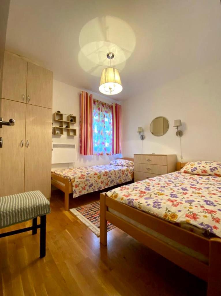 Apartment Liza Petrovac Eksteriør bilde
